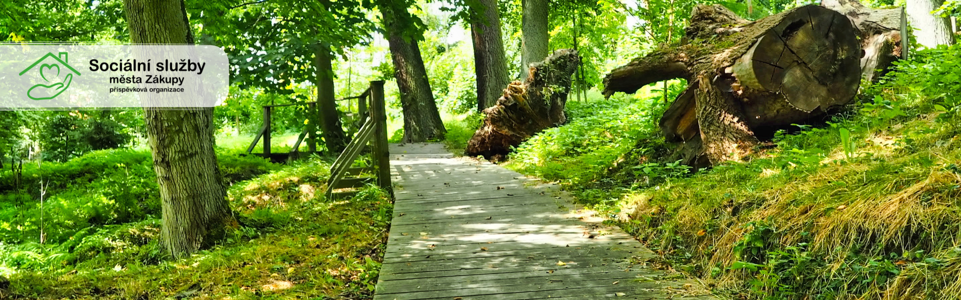 Sociální služby města Zákupy, p.o.